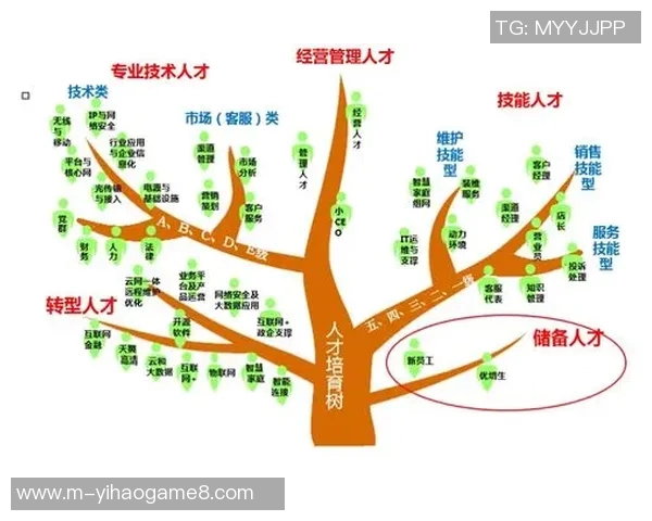 足球裁判员等级体系解析与提升路径探讨助力中国足球发展